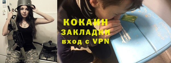 кокс Алексин