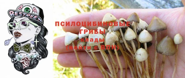 мяу мяу мука Алзамай