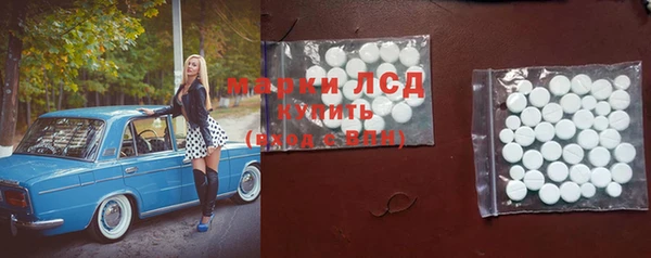 мяу мяу мука Алзамай