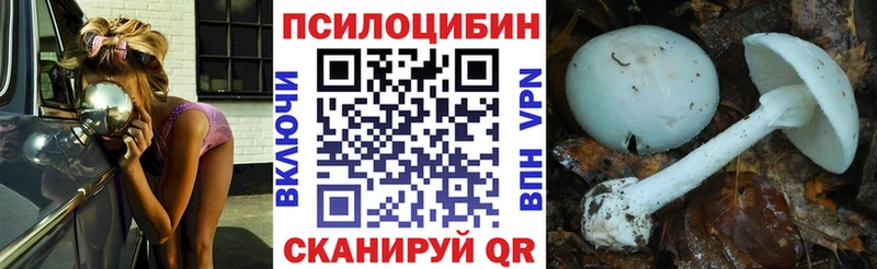 MEGA ТОР  Ревда  Галлюциногенные грибы прущие грибы 